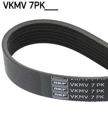 Ribbed belt skf vkmv - v-ribbed,