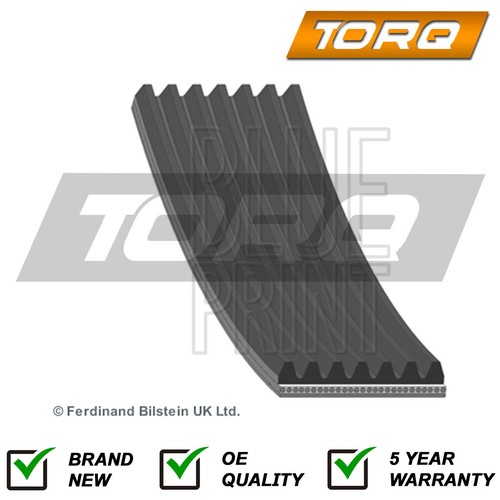 Alternator belt torq fits - torq,