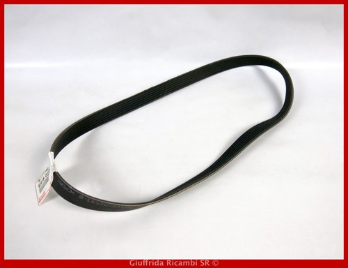 Poly service belt toyota - poly-v,