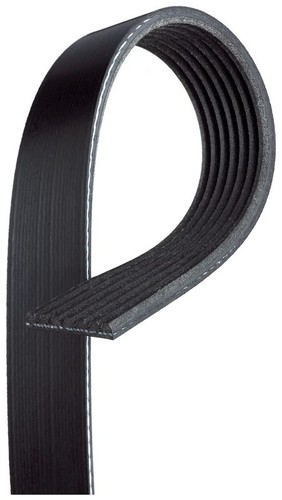 Gates 7pk1095 ribbed belt - v-ribbed,