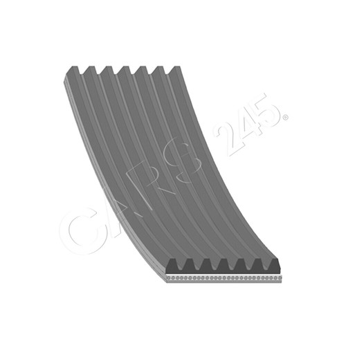 Blue print ribbed belt for - blue,