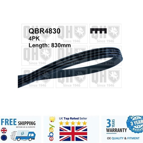 Ribbed belt for - for, taro